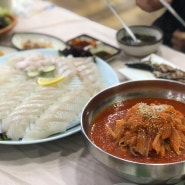 [강원 고성] 양이 혜자로운 물회 맛집 | 거진항 무진장 횟집