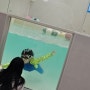 춘천 어린이 수영장 공간대여 하와이정글