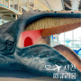 서천 씨큐리움 국립 해양생물자원관 고래고래 놀이터 볼거리 가득