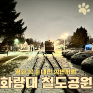 🐶노원 "화랑대 철도 공원" 눈오는 철도에서 낭만적인 데이트 (주차,포토존, 애견)