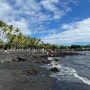 하와이 2일차ㅣ빅아일랜드 11번국도 - 화산국립공원 -새들로드 -힐로 100-코나 브루잉