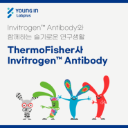 [YLP-제품소식] ThermoFisher사Invitrogen™ Antibody