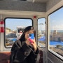 부산 가볼만한 곳 • 청사포 스카이캡슐 | 주말 현장예약 해변열차 비교