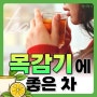 겨울에 마시기 좋은 차 🍵 기관지염, 인후염, 감기를 이겨내기에 도움 되는 차