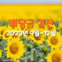 2023년 9~12월 배당금 결산