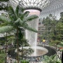 싱가포르 4박 6일 자유여행 5. 창이항공 쥬얼창이 관광 구경