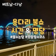 다낭 용다리 불쇼 시간과 명당자리 추천 (feat. 물쇼는 덤)