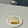 강아지 수제 케이크 만들기 다롱이 생일 축하해~