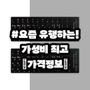 [내돈내산 찐 후기★] 로지텍k375s키스킨 | 뉴라인 한글 키보드 자판 스티커 2P 블랙 2개