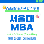 서울대 MBA 우선선발 합격후기, 자기소개 및 경력계획서 Essay 컨설팅, 작성 꿀팁