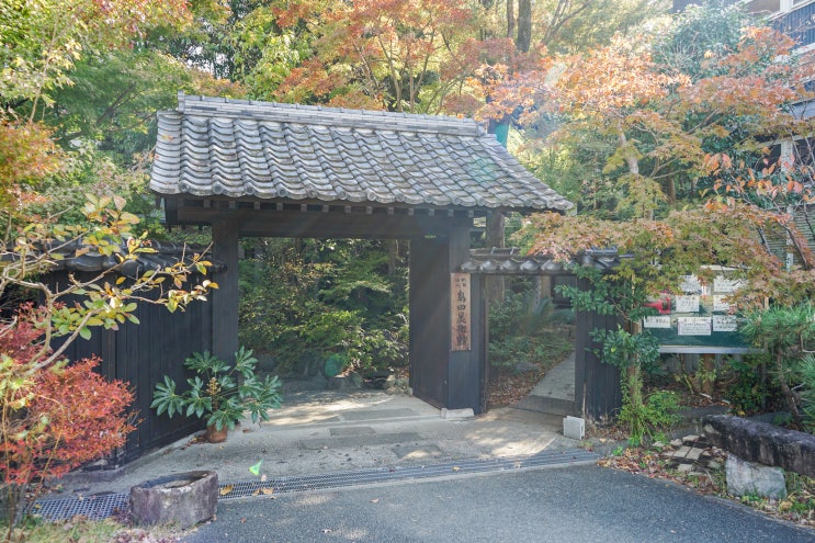 구마모토 여행 시마다 미술관 & 카페 키노케무리