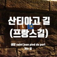 생장 saint jean pied de port 가는 길 - 산티아고 길(프랑스길)