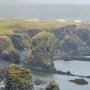 [아이슬란드 여행기] Day10. 악명 높은 아이슬란드 날씨를 경험한 스나이펠스네스반도 해안트레킹