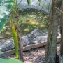 베트남 호치민 가족여행지 추천 사이공 동식물원