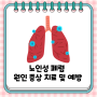 노인성 폐렴 원인 증상 치료 및 예방에 대해서 알아보아요!