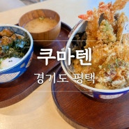 평택 고덕 맛집 쿠마텐 텐동이 유명한 일식 전문점 가지덮밥