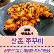 [광명맛집] 쭈꾸미맛집이라는 산촌쭈꾸미! 매콤하니 딱이네