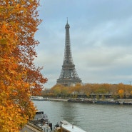 100일 유럽여행 | 파리자유여행 EP.3 파리하면 에펠탑이지(파리뮤지엄패스 / 루브르박물관 / 에펠탑 사진 명당 추천)