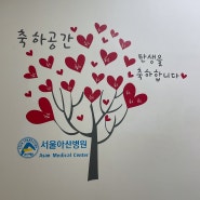 [아산 병원] 제왕절개 출산 후기-1