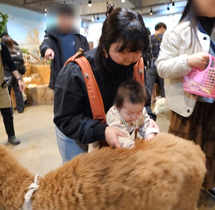 7개월 아기랑 같이 가볼만한 곳. 부산 실내동물원 라라쥬동물원