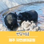 제주 무료 동물원 반달가슴곰 볼 수 있는 제주자연생태공원