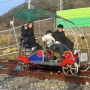 전주 여행 아이와 가볼만한곳 전주한옥레일바이크