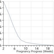 임신 주수별 임신초기 유산확률 계산기 적정 심장소리bpm