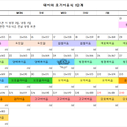 첫이유식 둘째도 5개월 시작 초기이유식 식단표