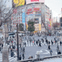 엄마랑 일본 도쿄 여행 시부야 스크램블 교차로가 잘 보이는 카페 호시노 커피☕