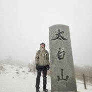 [100대 명산 등산하기] 강원도 함백,태백산 등산하기