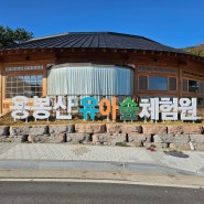 용봉산 유아숲체험원 - 갈바채널간판