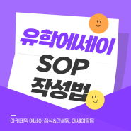 영국 유학 학업계획서 쓰는 법, SOP 첨삭과 컨설팅, 샘플