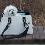 강아지 이동가방, 카시트로도 쓸 수 있는 쏘오옥백 애견가방