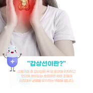 갑상선 기능 저하증 증상 / 갑상선 항진증 차이와 약 부작용