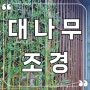 인조 대나무 실내조경, 대전시 이자카야에 푸른 인조식물 파티션 완성