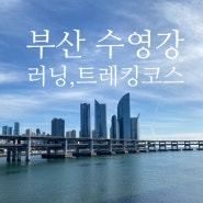부산 러닝코스 추천 온천천 수영강 광안리