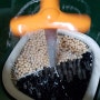자이글 콩나물 재배기 물갈아주는 주기 및 들어가는 콩의 양