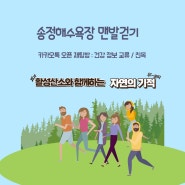 "송정해수욕장에서의 맨발 걷기: 활성산소와 함께하는 자연의 기적"