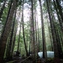 캐나다 오지 캠핑 그 두 번째 이야기 - 태초의 숲속으로...