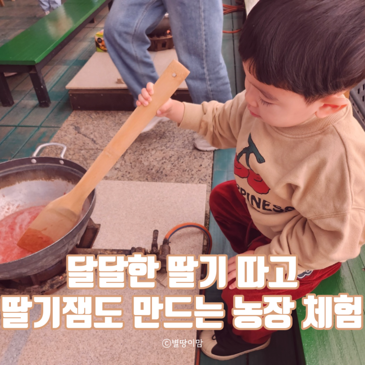 경기도 양평 두물머리 실내 아이랑 갈만한 곳 딸기 농장 체험