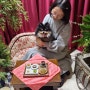 애견오마카세 퍼피라운지 강아지 생일 1살 기념왔어요!