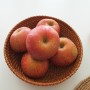 고당도 사과 5kg, 지리산 부사사과 사과샐러드 만들기