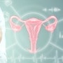 [복강경] 자궁내막종, 자궁내막증 수술에 대해 알아보자