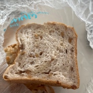 [분당_서현] 호두식빵이 맛있는 망캄