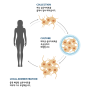 자가 섬유아세포 시술 원리와 효과