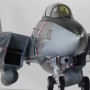[완성작판매] 1/32 F-14D Super Tomcat
