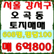 서울 강서구 오곡동 토지매매