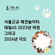 서울 근교 애견놀이터 테일45, 2023년 여정과 새해 각오