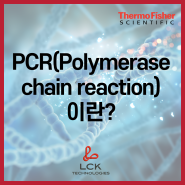 [기초다지기] PCR 발명가 캐리 멀리스/ PCR의 기초부터 PCR 3단계까지 알아보자!