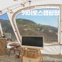 [캠핑] 호미의 18번째 캠핑 일기 (Feat. 벛꽃캠일 뻔..)